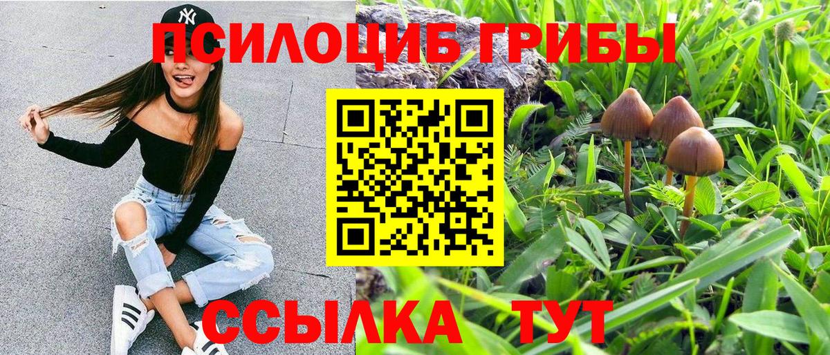 Галлюциногенные грибы прущие грибы Карталы