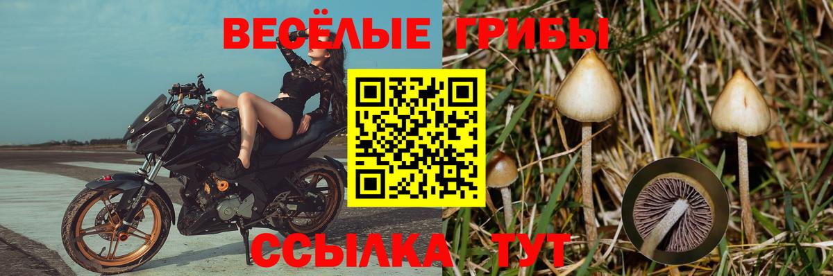 Псилоцибиновые грибы мухоморы  Галлюциногенные грибы мицелий  Вход с VPN  Карталы 
